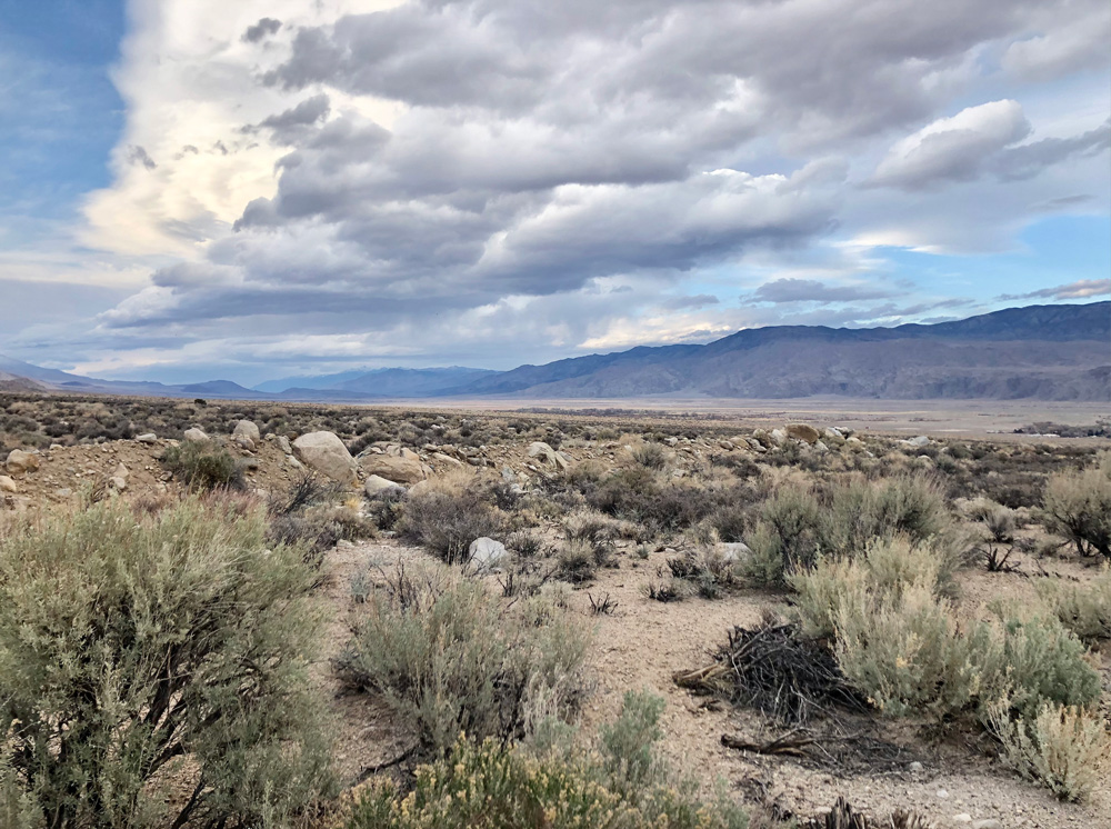 The landscape of the central Owens Valley, California.