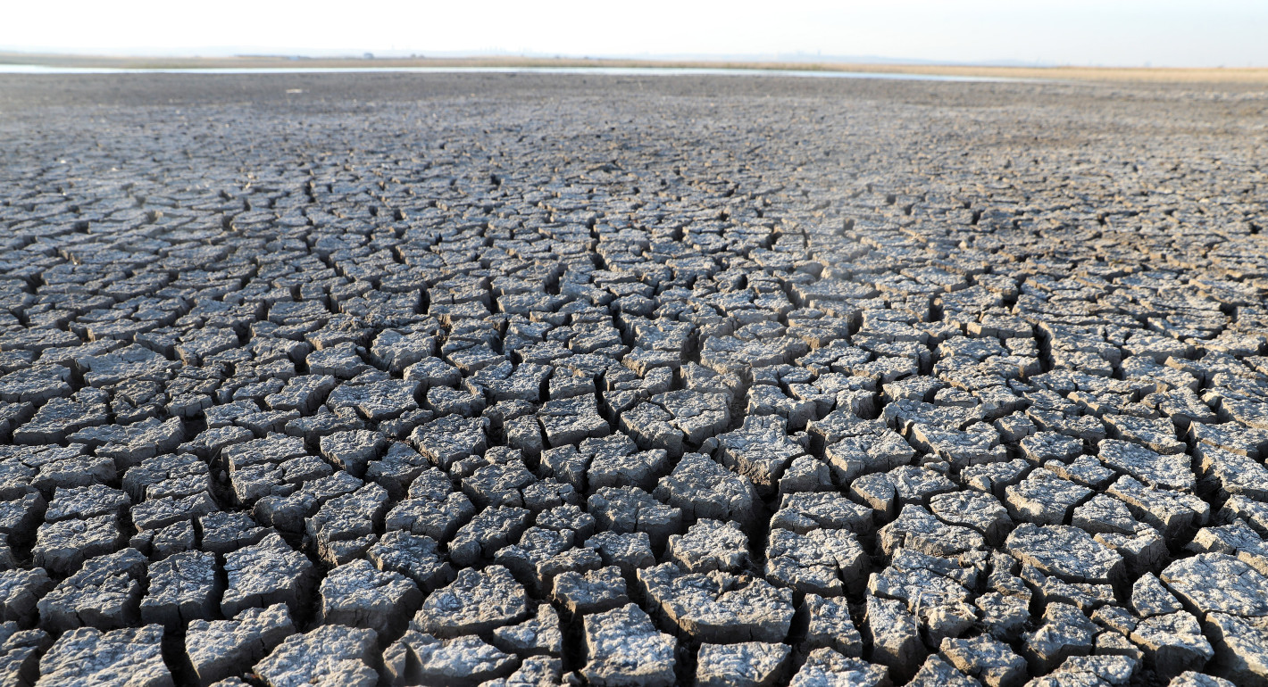 Photo of cracked dry earth.