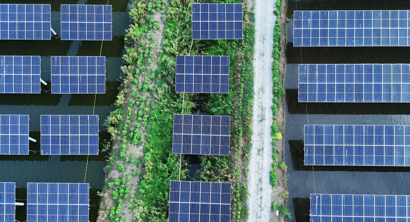 Overhead view of solar panels atop lush green fish ponds.