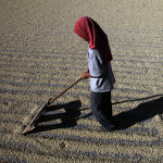 Food Crisis Far From Over