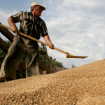 Is Another Food Crisis on the Horizon?