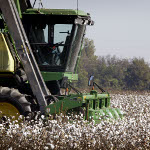 Learning from the “Cotton Problem”: Settling Trade Disputes