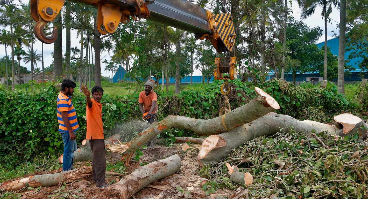 Land Title Insurance in India: Lessons from U.S. Regulatory Approaches