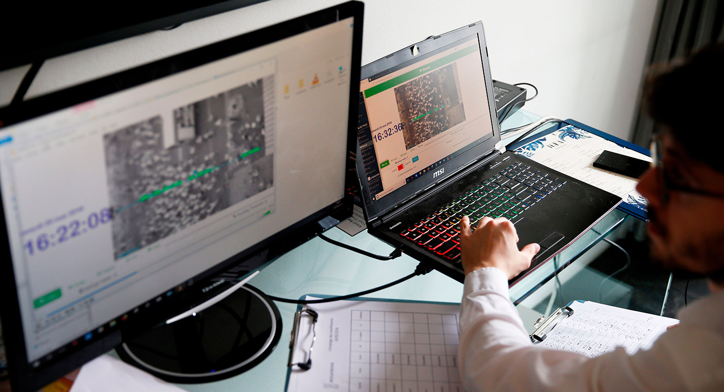 Harnessing Digital Tools to Revitalize European Democracy