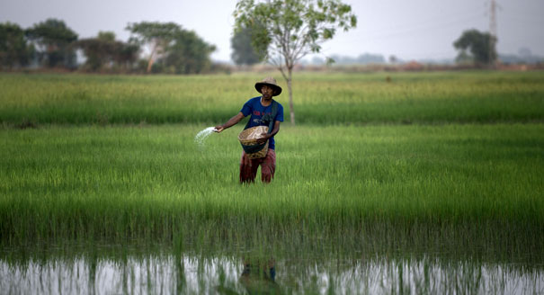 Myanmar’s Economic Policy Priorities