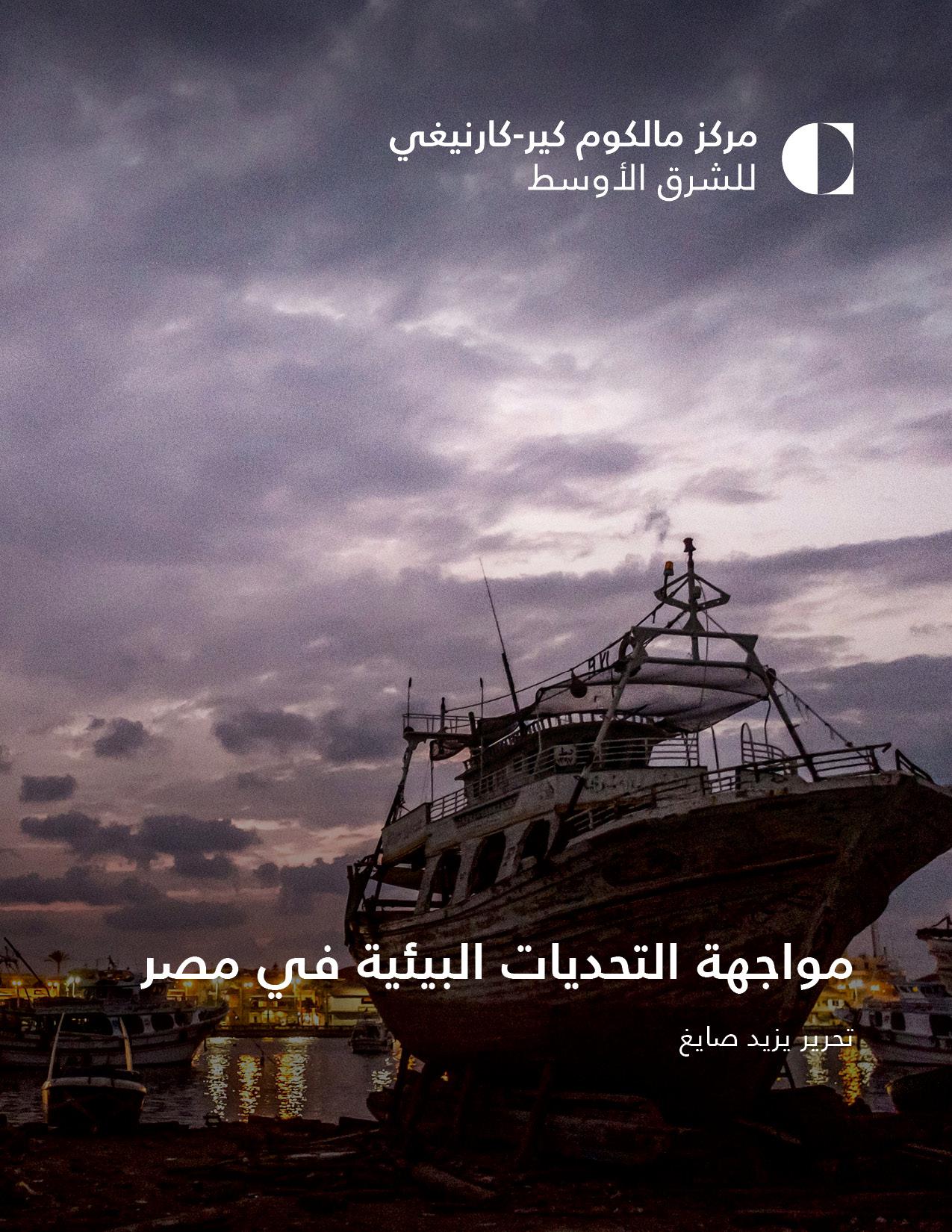 مواجهة التحديات البيئية في مصر