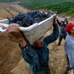 Crisis and the Diaspora Nation