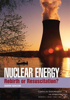 Nuclear Energy: Rebirth or Resuscitation?