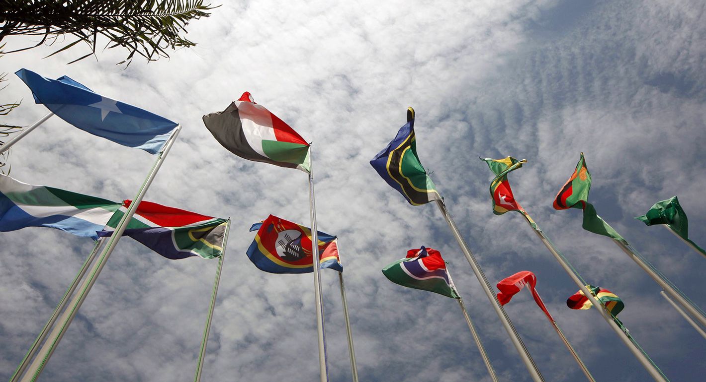 Flags representing some of the 30 different nations taking part in the 15th African Union Summit flutter at the entrance of the convention hall on the second day of the meeting in Kampala, Uganda on July 26, 2010. 