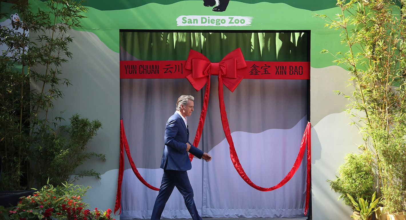 California Governor Gavin Newsom walks off stage after speaking during the opening of Panda Ridge at the San Diego Zoo on August 8, 2024 in San Diego, California. 