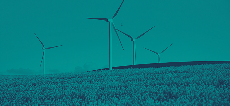 Program mobile hero image