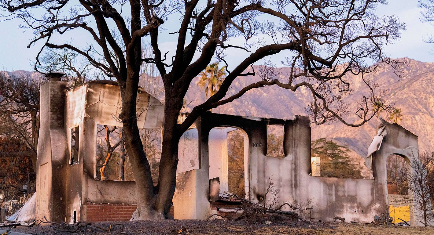 Burned trees stand next to the ruins of a house in Altadena, California, on January 24, 2025. The fire killed at least 17 people and forced over 100,000 residents to evacuate.