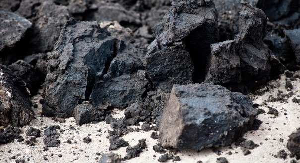 The Carbon Contained in Global Oils