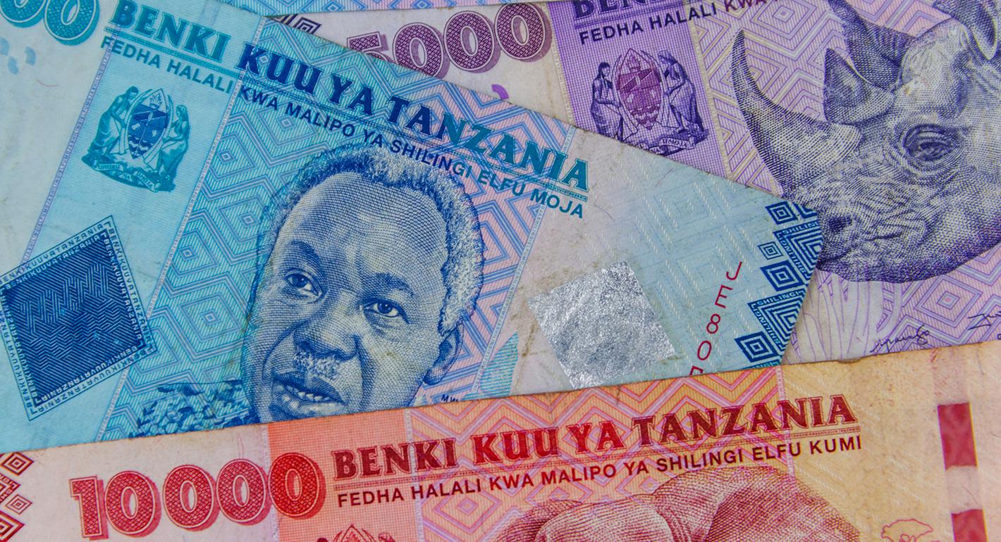 Benefits and Risks of Bank and Savings Group Partnerships in Tanzania