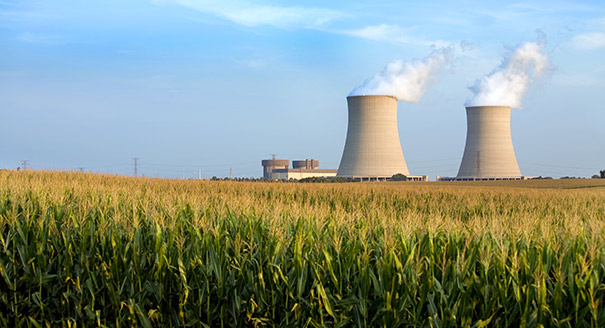 Does the U.S. Nuclear Industry Have a Future?