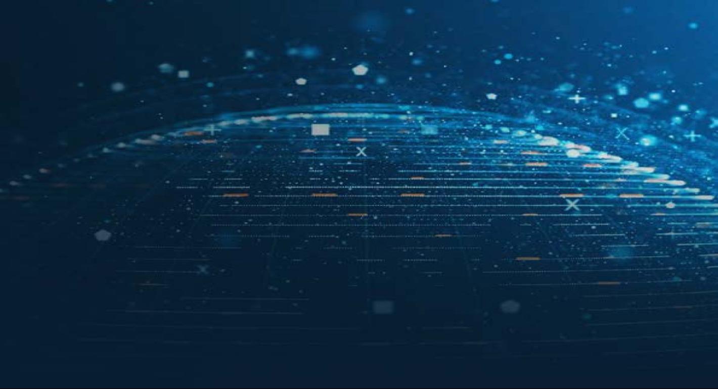 A CERN Model for Studying the Information Environment