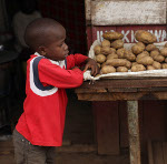 World Food Security and Investment in Agriculture