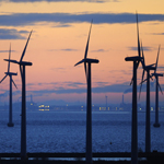 国际经验对中国低碳发展的启示：公众如何参与？