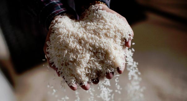 Thailand's Rice Policy Gets Sticky