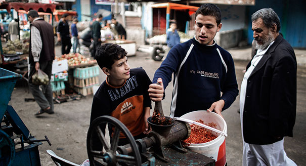 The Future of Public and Basic Services in the West Bank and Gaza