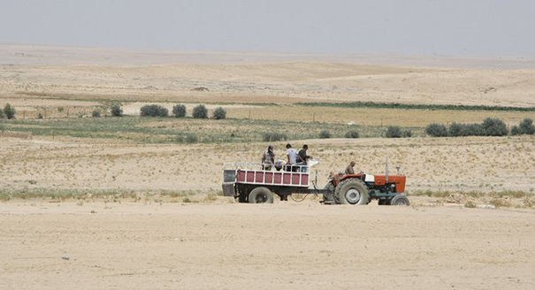 Food Insecurity in War-Torn Syria: From Decades of Self-Sufficiency to Food Dependence