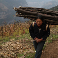 Then and Now: 30 Years of Rural Land Use Rights Reform