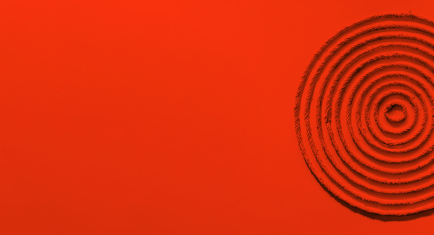 China’s Influence in South Asia: Vulnerabilities and Resilience in Four Countries