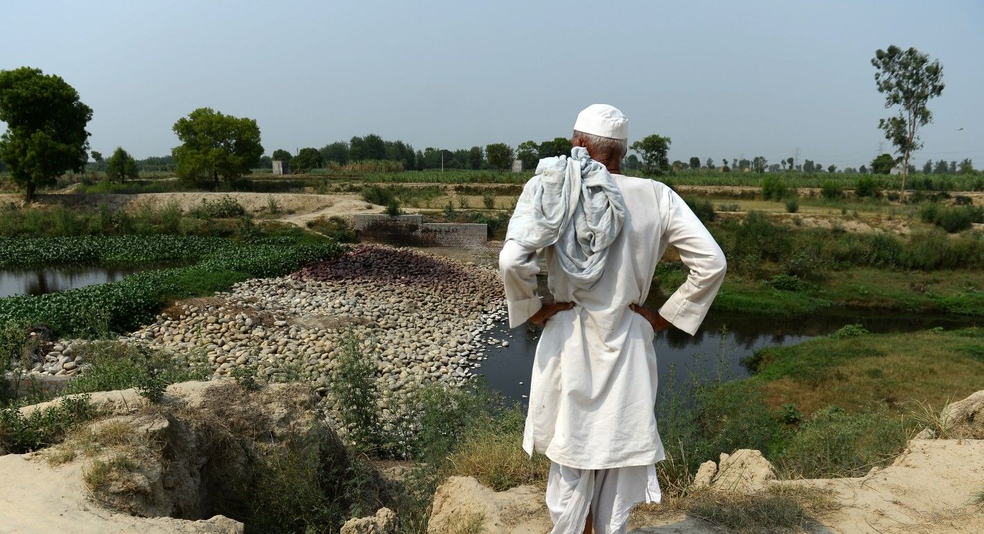 An Indian man in white clothes stands with his back to the camera facing a beautiful green landscape, a mix of white dirt and green moss and trees that line the horizon