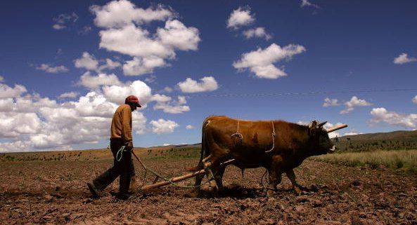 Challenges to Democracy Promotion: The Case of Bolivia