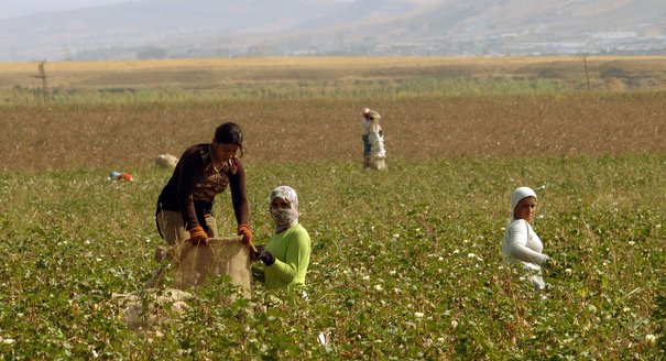 The Turkish Constitution and the Kurdish Question